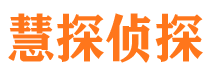 蒸湘市侦探公司